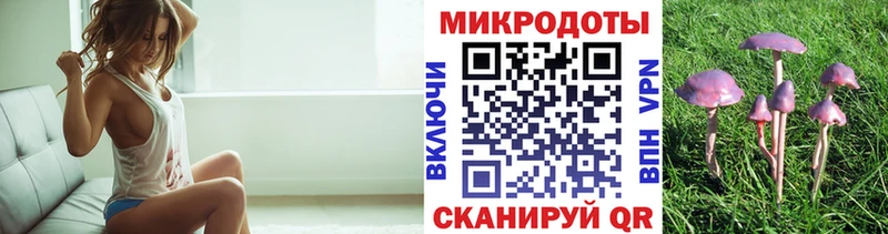 Псилоцибиновые грибы Psilocybe darknet наркотические препараты Уяр МЕГА как войти